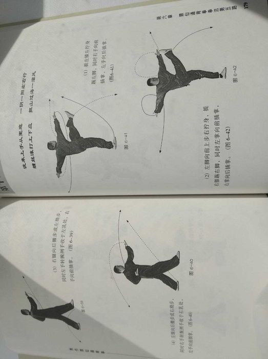 Тунбэй Цюань книга на китайском языке