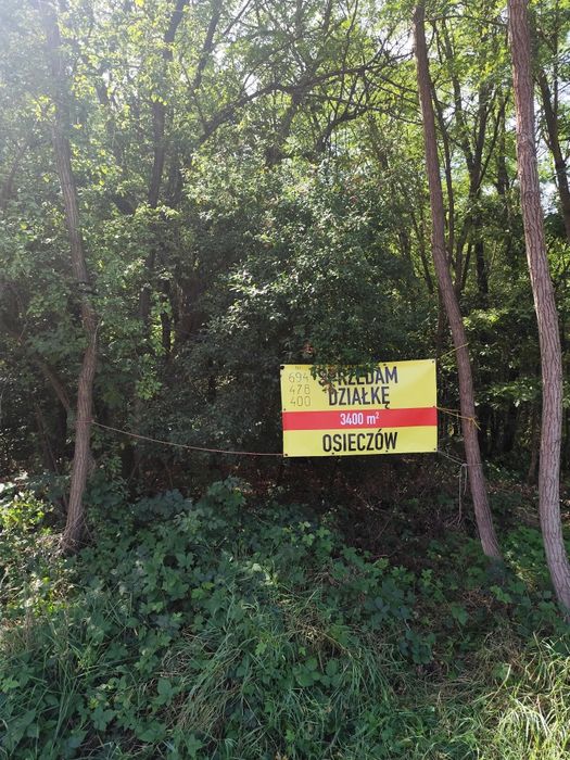 Działka Osieczów Pozwolenie na bud. Dwa domki + Bud.Turystyczny