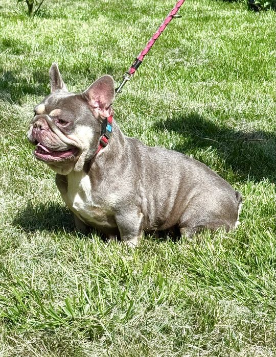 Шикарна крихітка 3 роки чекає на люблячу родину