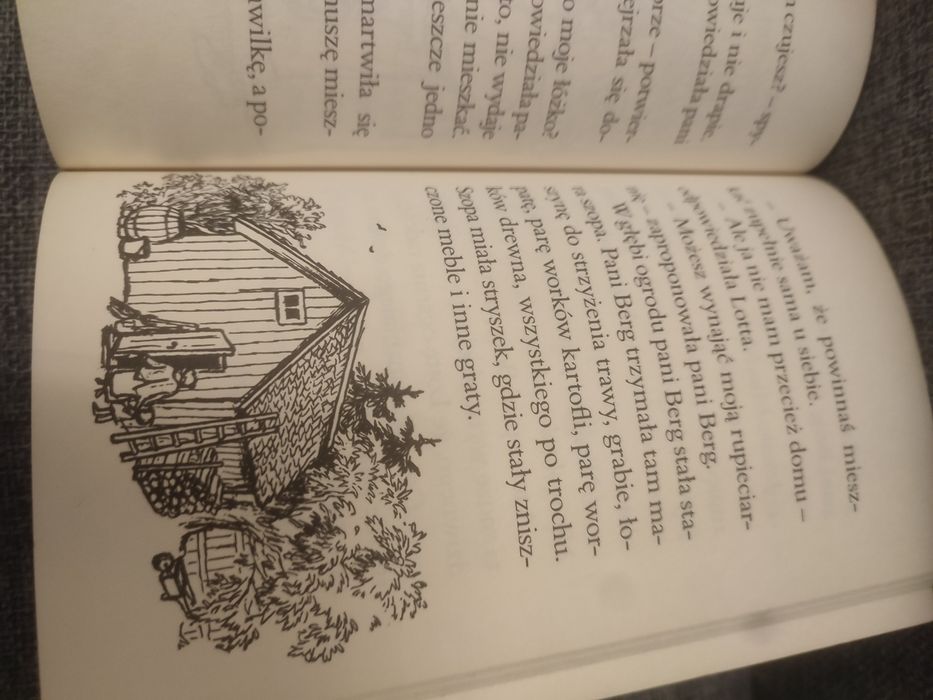 Lotta z ulicy awanturników Astrid Lindgren