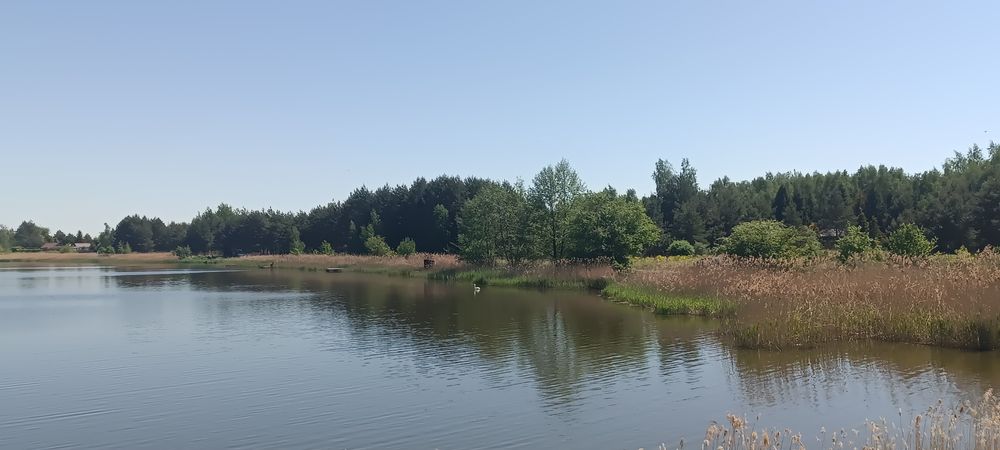 Domek nad zalewem do wynajęcia