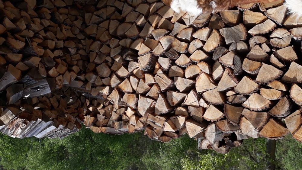 Drewno kominkowe sezonowane DĄB