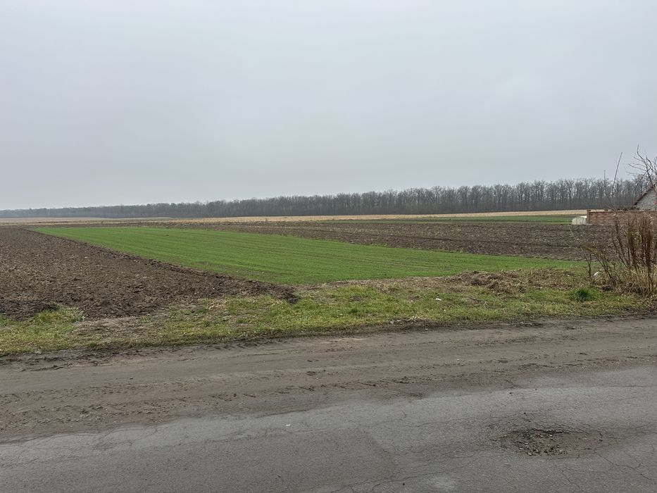 Продам земляну ділянку під забудову