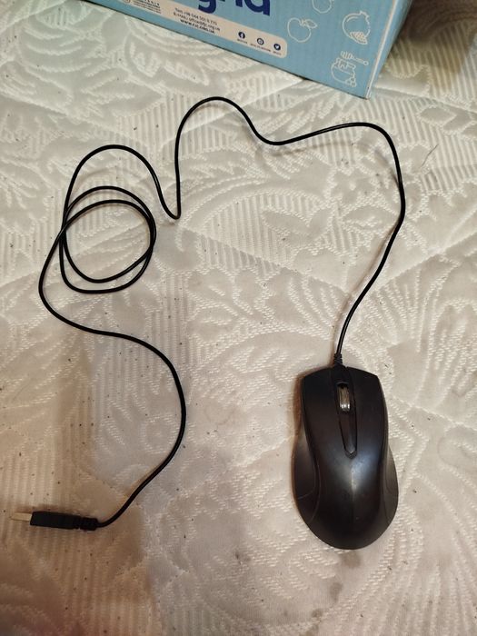 Мышь компьютерная