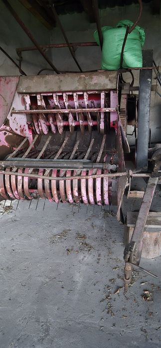 Srprzedam  Prase Welger