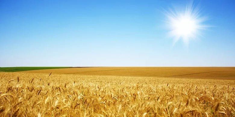 Продам пай у Харківській області