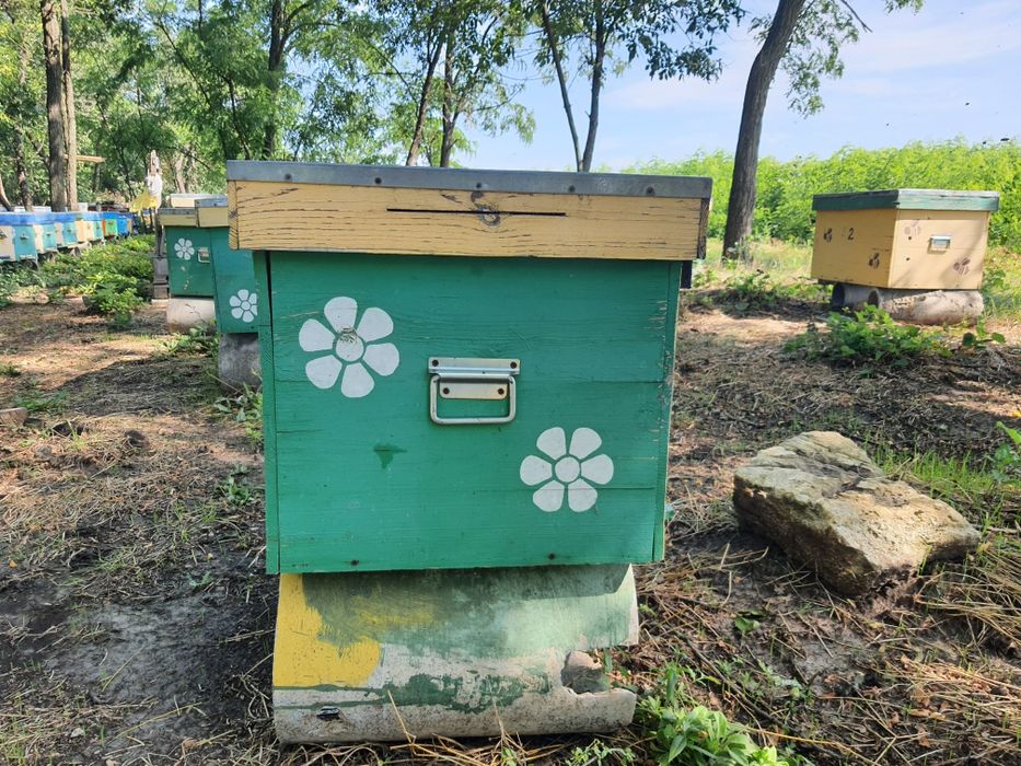 Улья 20 рамочные