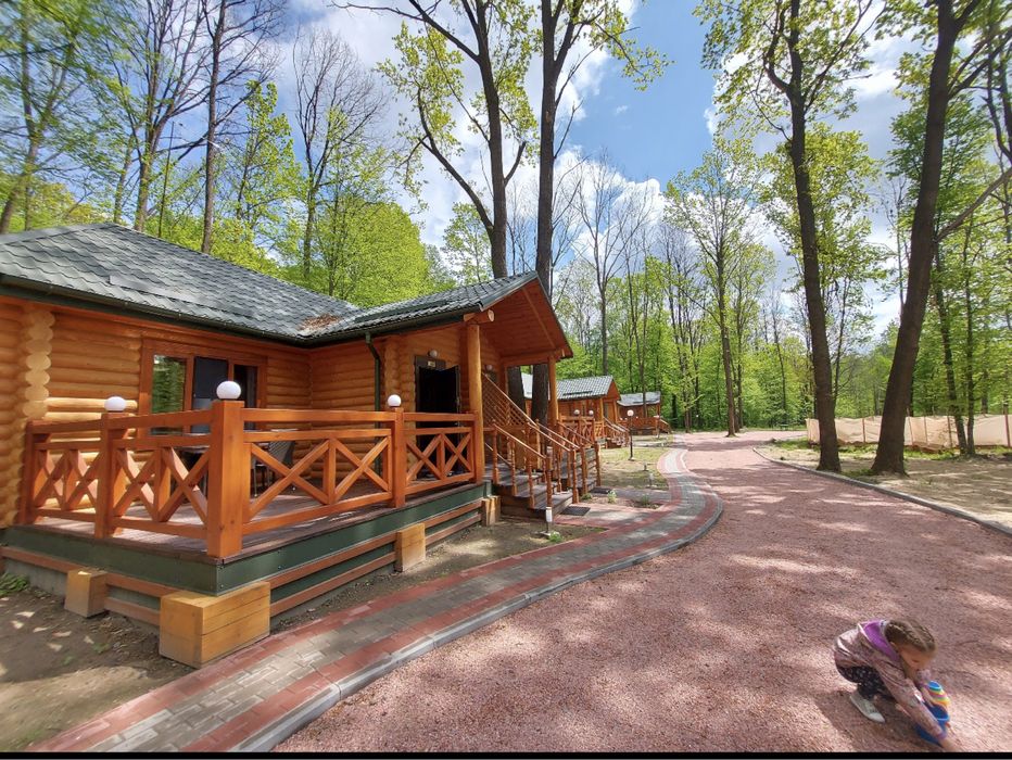 Новорічні свята. Оренда котеджів під Києвом подобово