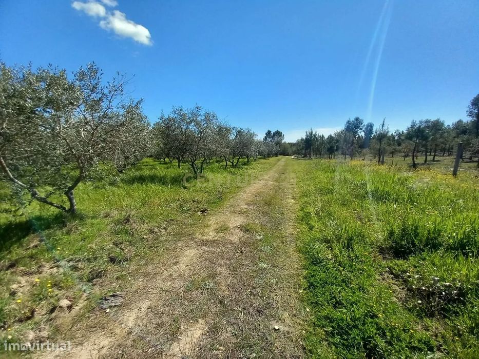 Quinta com 24750m2 Louriçal do campo