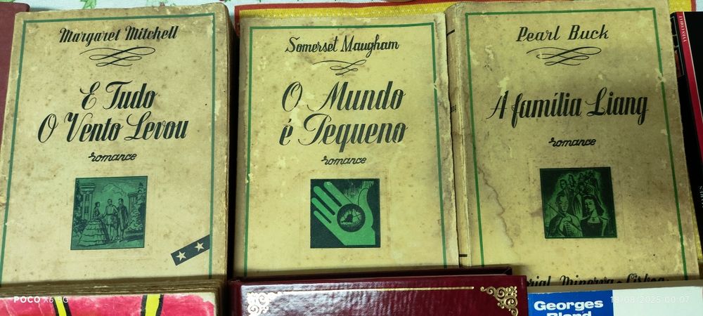 Lote variado de livros, para todos os gostos