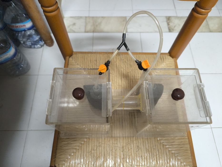 Aquário experimental, duplo com comunicação entre eles.