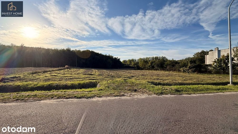 Duża działka 3614 m² przy lesie | Jóźwin | MPZP - Widok 2
