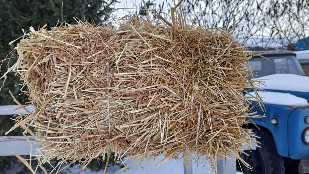 Продам тюки соломы
