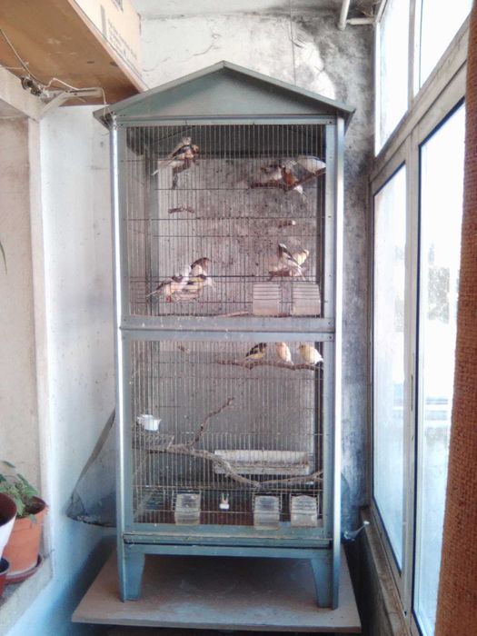 viveiro em chapa galvanizada 170cm x 70cm x 70cm