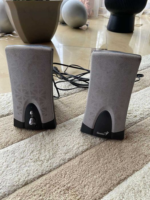 Акустична система Genius, Динаміки для пк