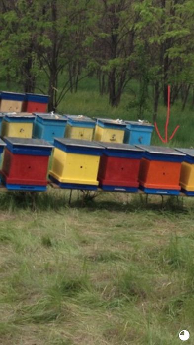 Лист алюмінієвий,  алюміній листовий типографська пластина