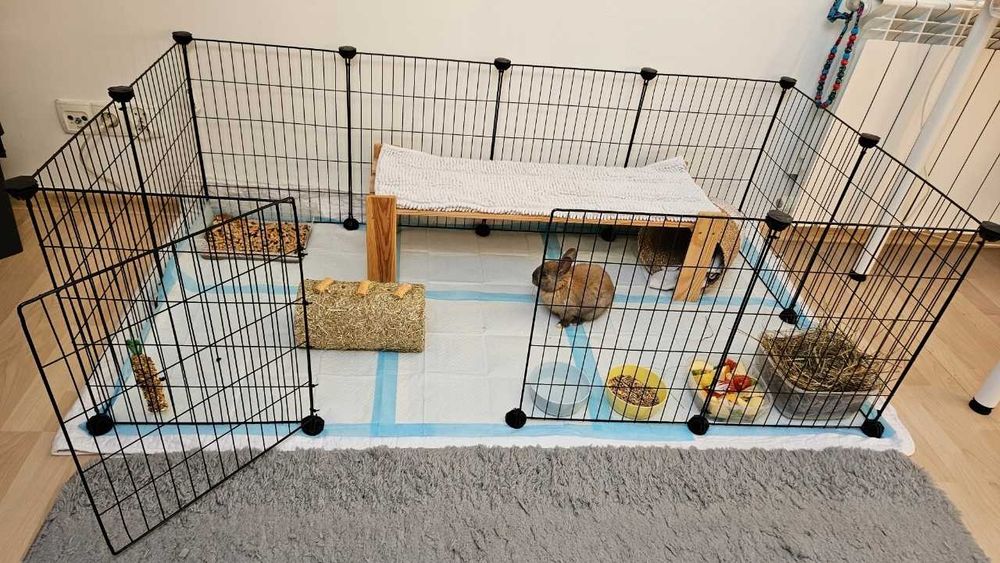 Wybieg Kojec Klatka dla Świnki Morskiej Królika Gryzoni Gryzonia NOWY