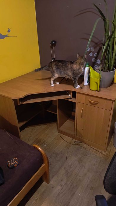 Oddam za darmo biurko narożne.