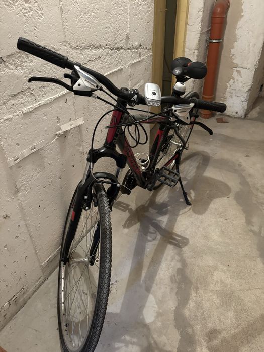 Rower crossowy Alpine Eco C20