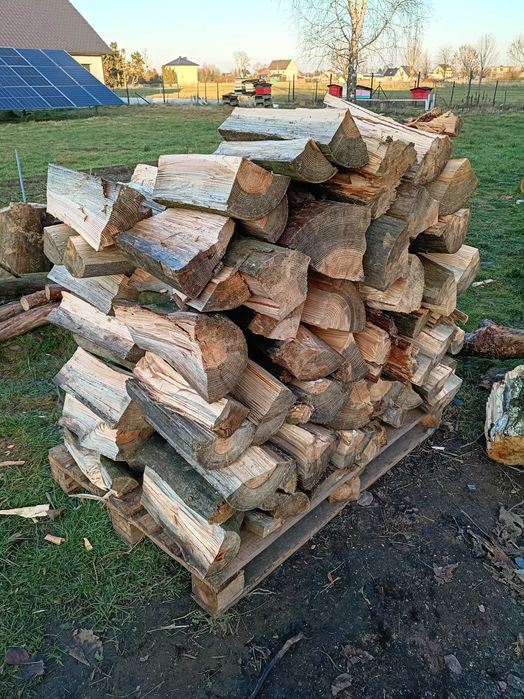 Drewno kominkowe sosna i brzoza