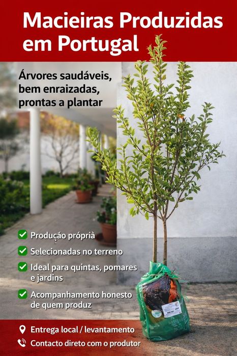 Videiras E macieiras disponível