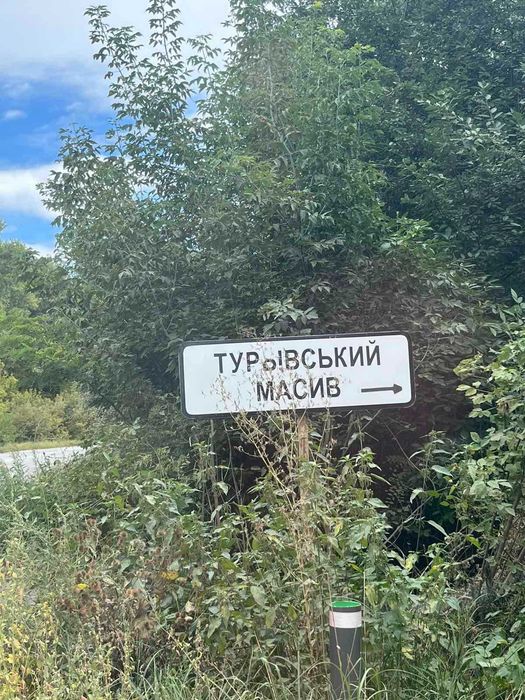 Продам земельну ділянку с/г призначення у Турбівському масиві 2816