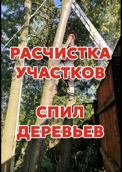 Расчистка участков / Уборка участков / Спил деревьев/Вывоз веток
