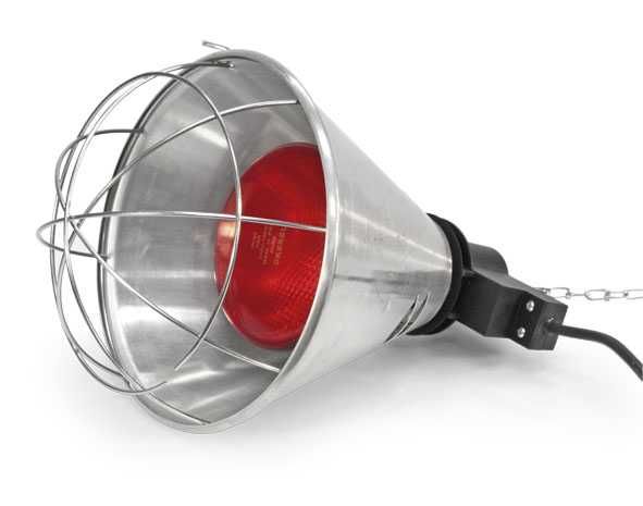 Lampa grzewcza sztuczna kwoka + promiennik ZESTAW