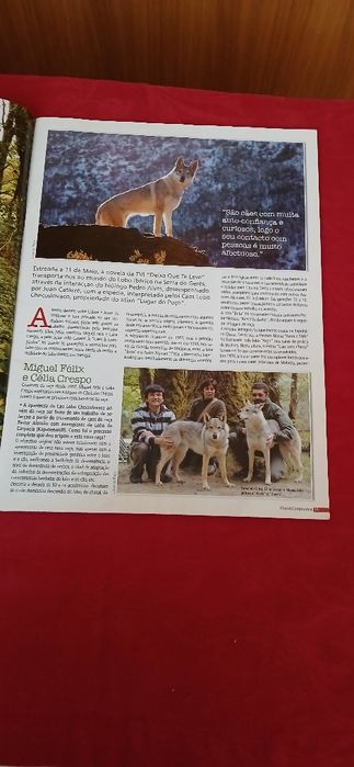 Cães & Companhia de 2009