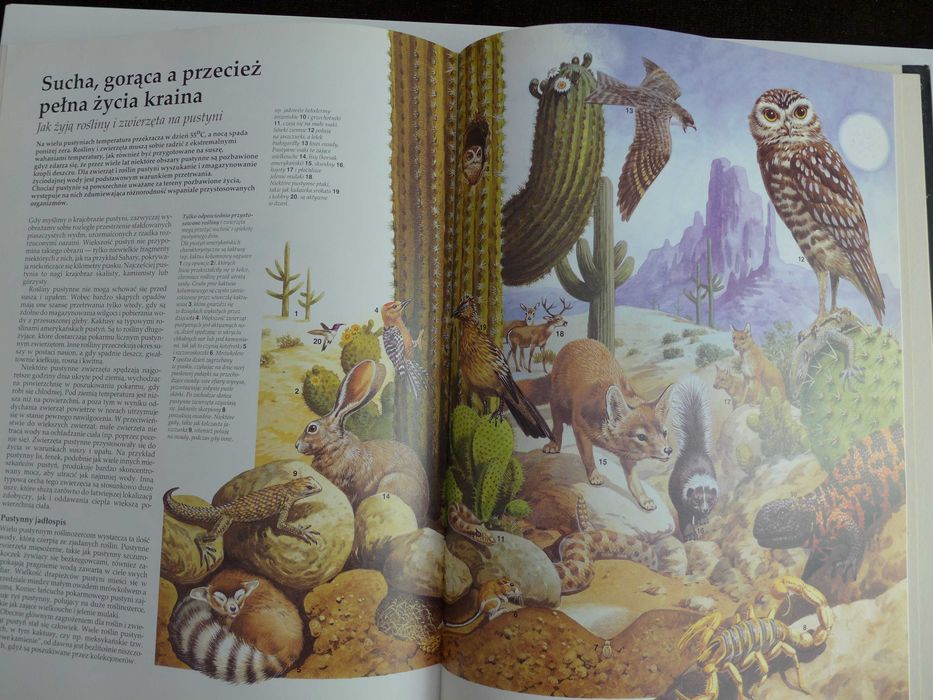 Wielki Ilustrowany Atlas Świata - wspaniała książka GEOGRAFIA MAPA