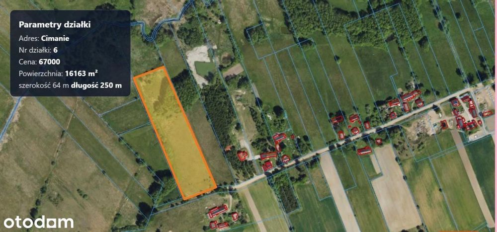 Działka rolna 1,6 ha, Cimanie, Gmina Kużnica