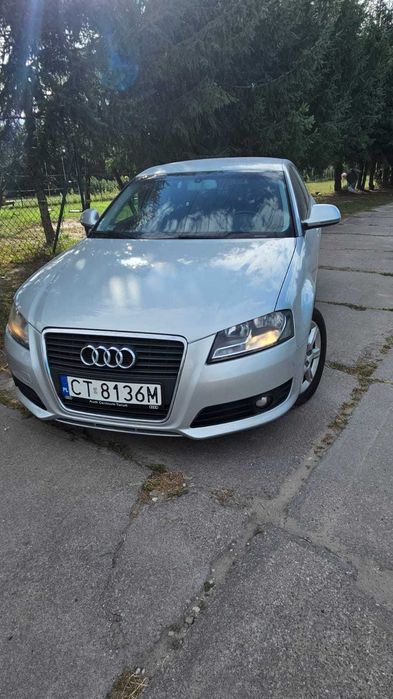 Audi A3 8P Quattro