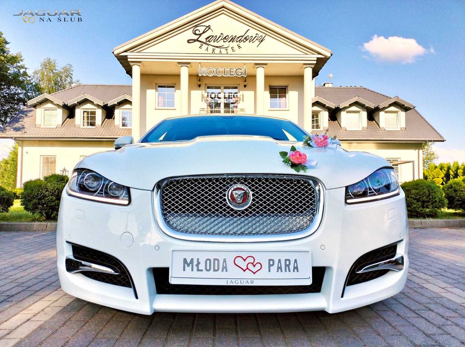 Auto Do Ślubu-Jaguar XF Premium Luxury Edition