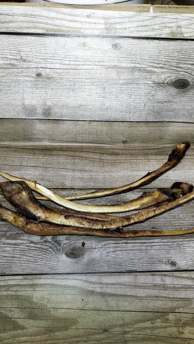 Жила ахілесова( путова)