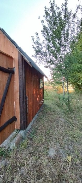 Продам апі хатинку і вулики