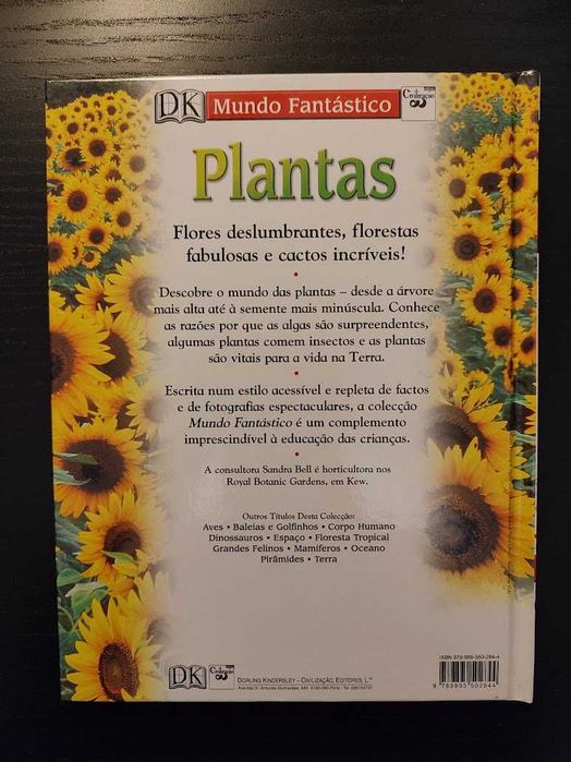 (Env. Incluído) Plantas de Fleur Star
