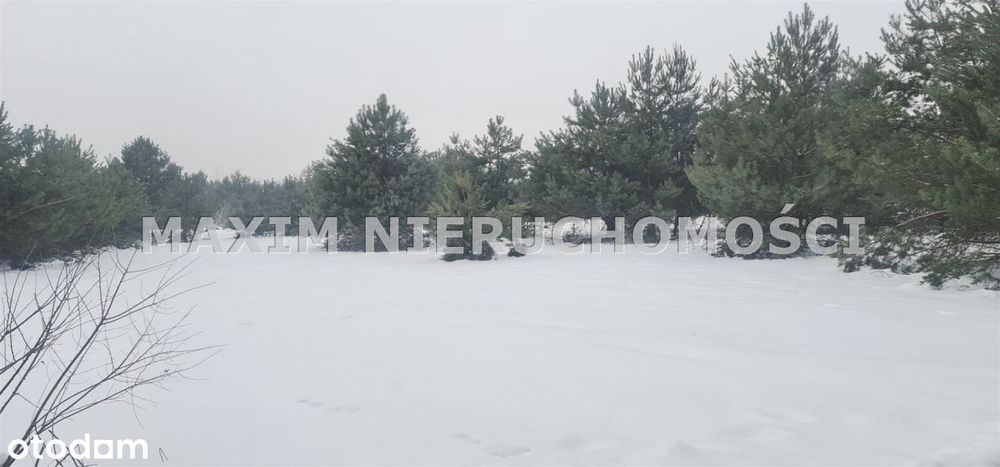 Piękne działki budowlane- Kuchary Żydowskie