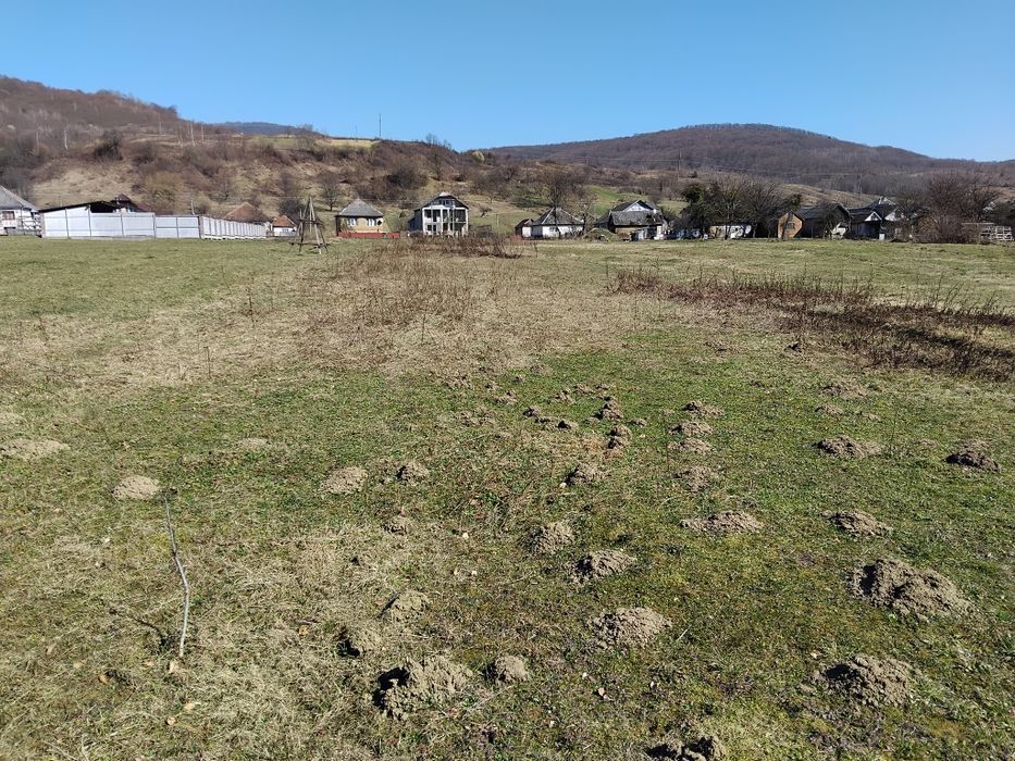 Продаю ділянку під індивідуальне садивництво Павлово Закарпатської