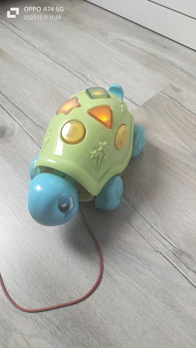 Żółw do ciągnięcia. Tapping pal