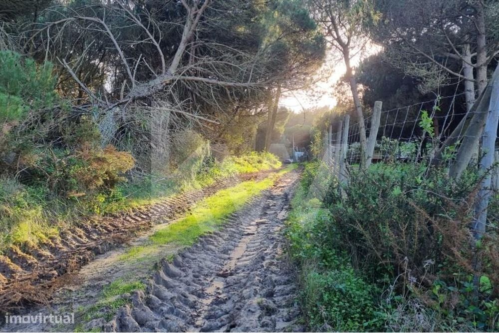 Terreno rústico Janas 3888m2 — São João Das Lampas E Terrugem, Lisboa