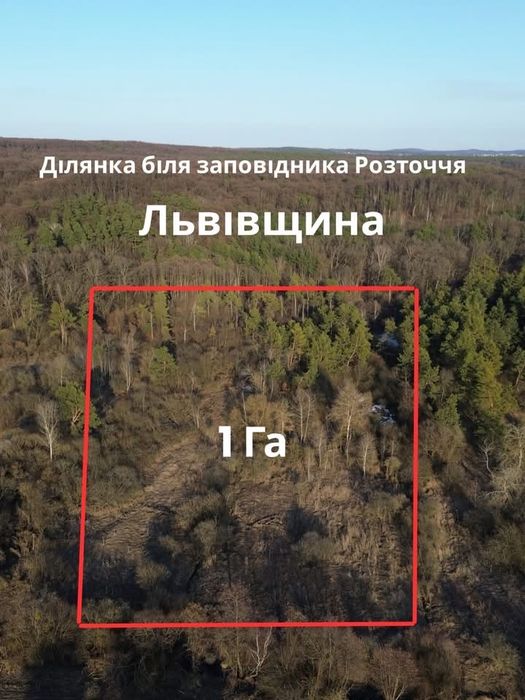 Продаж земельної ділянки с.Лозино , 20 км від Львова
