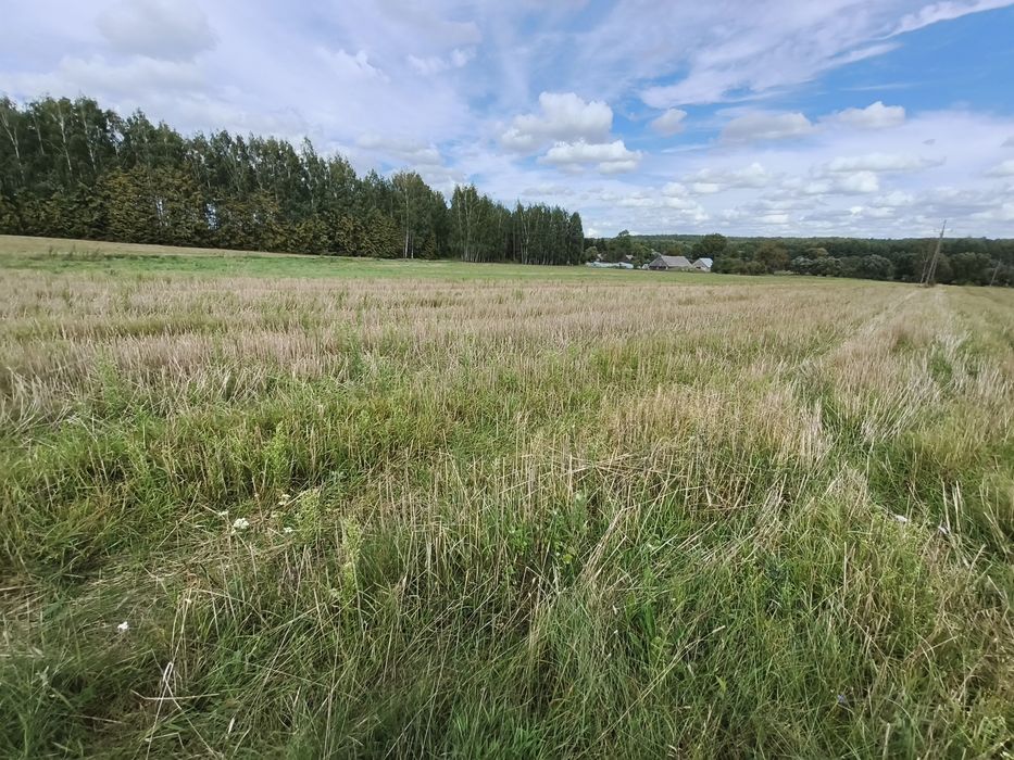 Działka rolna pole