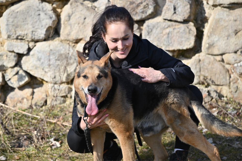 Adoptuj Kubusia, to jest ostatnia szansa