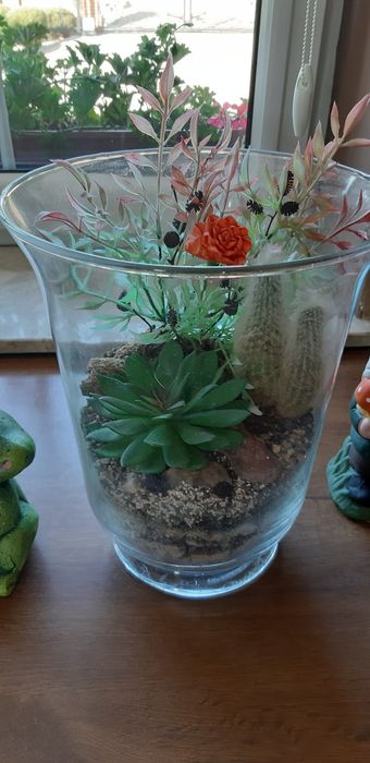 Las w szkle żaba krasnal 20zl