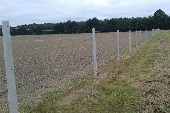 Ogrodzenie siatka leśna betonowe słupki