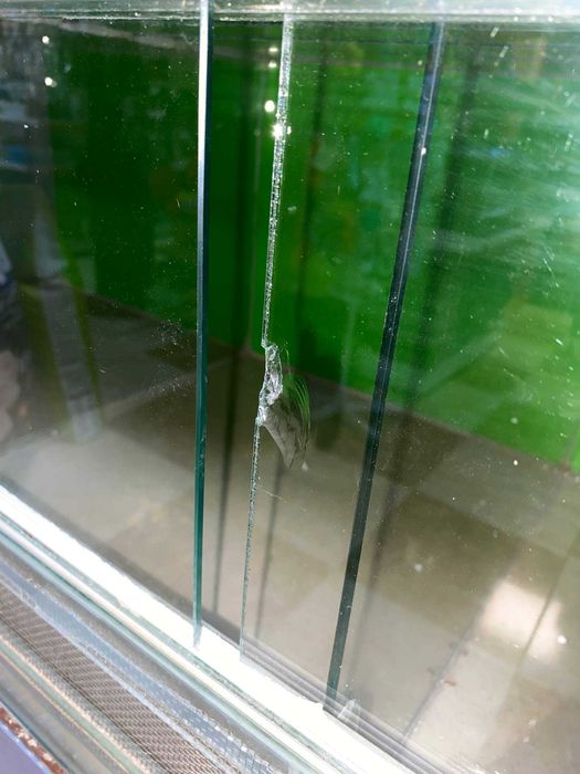 Клетка-витрина для содержания мелких грызунов и птиц