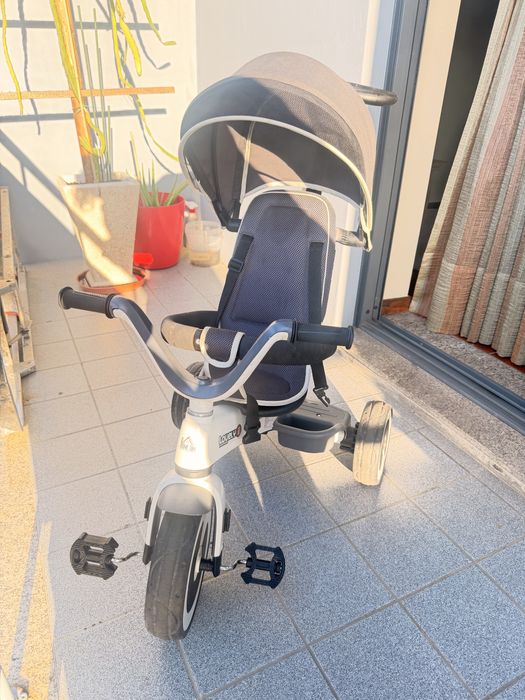 Evolutionary Tricycle457156856634429442