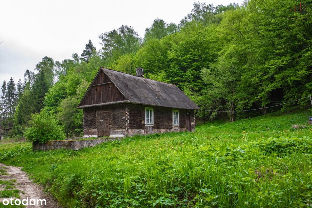 Wyjątkowe siedlisko na skraju lasu 28,5ar