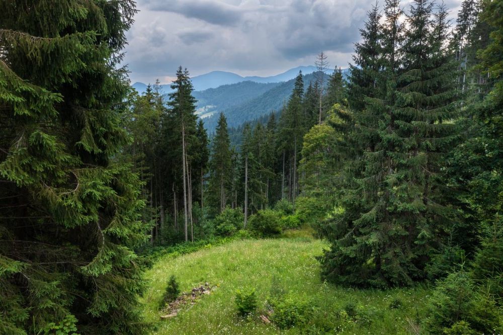 ЕКСКЛЮЗИВНА земельна ділянка площею 300 сот.