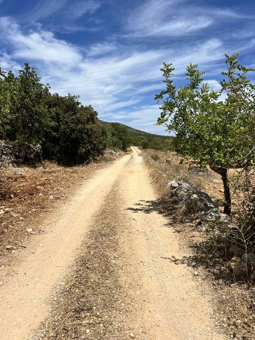 Vende-se terreno ( ótimo para casa de madeira )